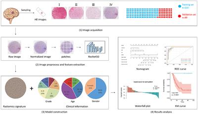 Predicting the recurrence and overall survival of patients with glioma based on histopathological images using deep learning